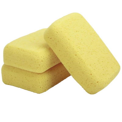 Sponges